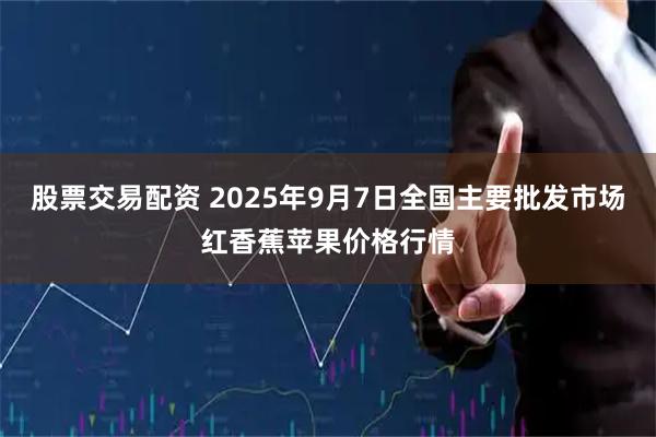 股票交易配资 2025年9月7日全国主要批发市场红香蕉苹果价格行情